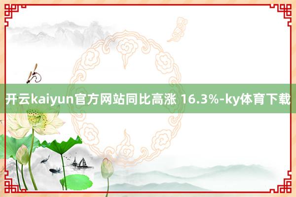 开云kaiyun官方网站同比高涨 16.3%-ky体育下载