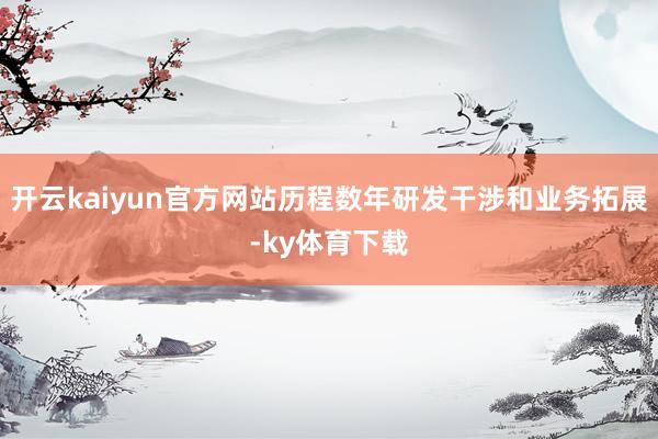 开云kaiyun官方网站历程数年研发干涉和业务拓展-ky体育下载