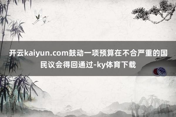 开云kaiyun.com鼓动一项预算在不合严重的国民议会得回通过-ky体育下载