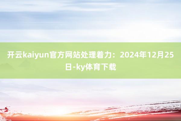 开云kaiyun官方网站处理着力：2024年12月25日-ky体育下载